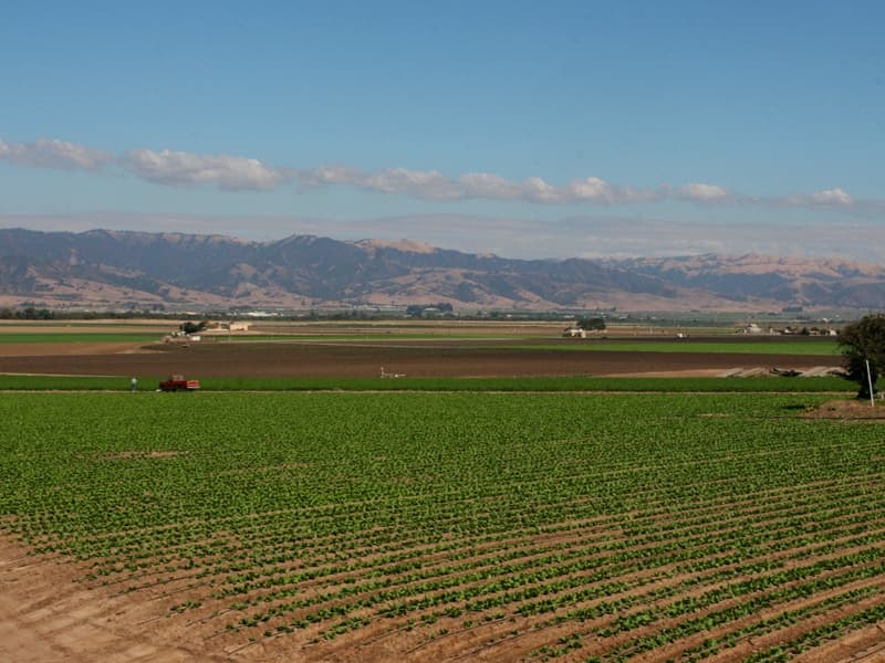farm with fields and mountains in the distance